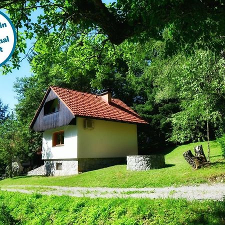Forest House Villa Vrhnika Bagian luar foto