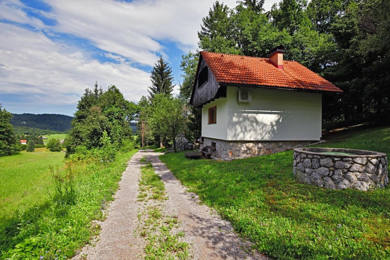Forest House Villa Vrhnika Bagian luar foto