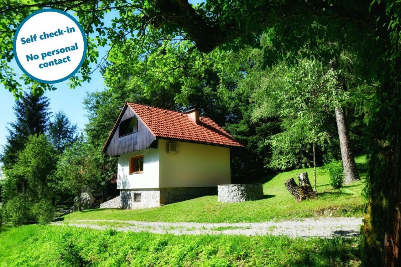 Forest House Villa Vrhnika Bagian luar foto