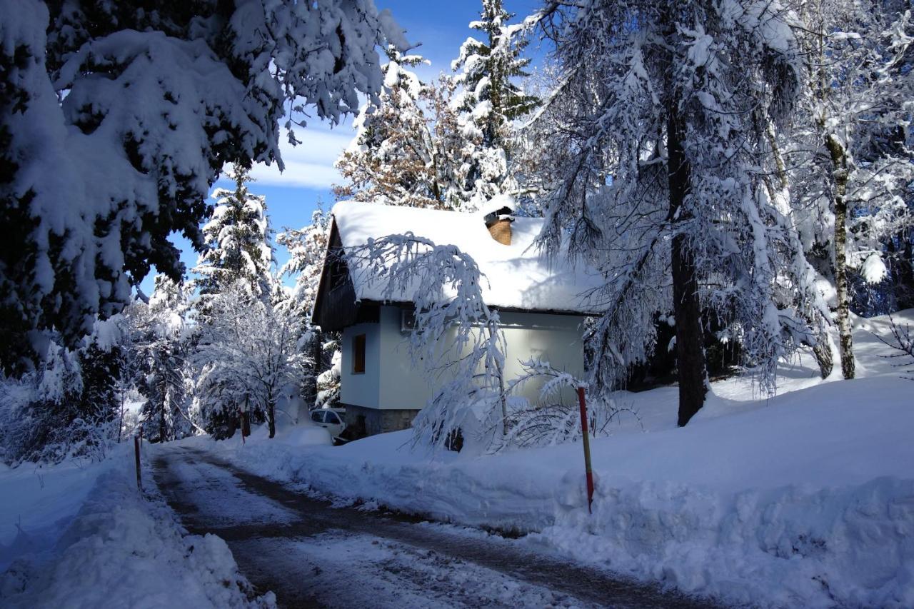 Forest House Villa Vrhnika Bagian luar foto