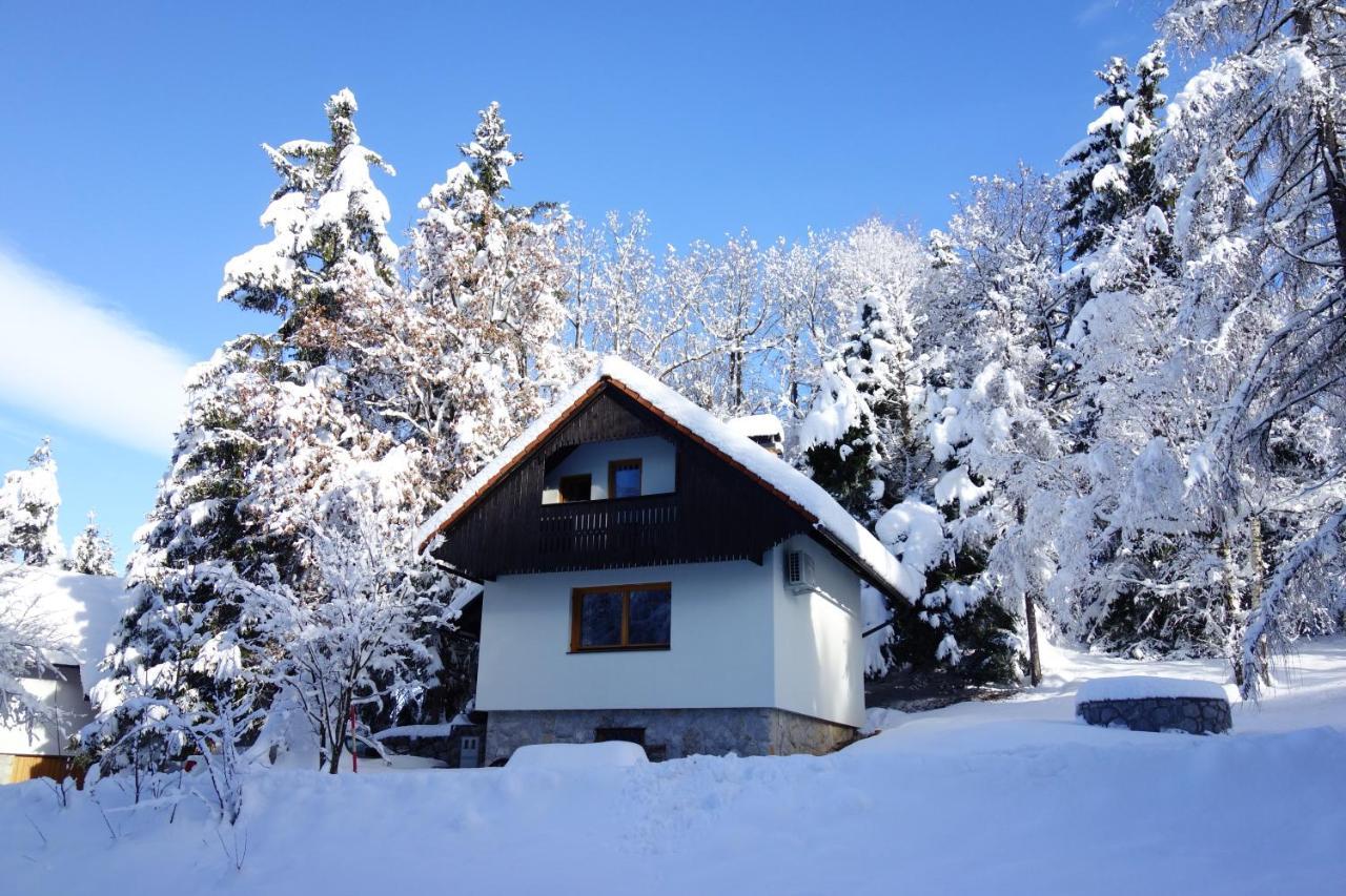 Forest House Villa Vrhnika Bagian luar foto