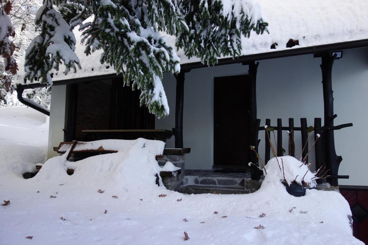 Forest House Villa Vrhnika Bagian luar foto