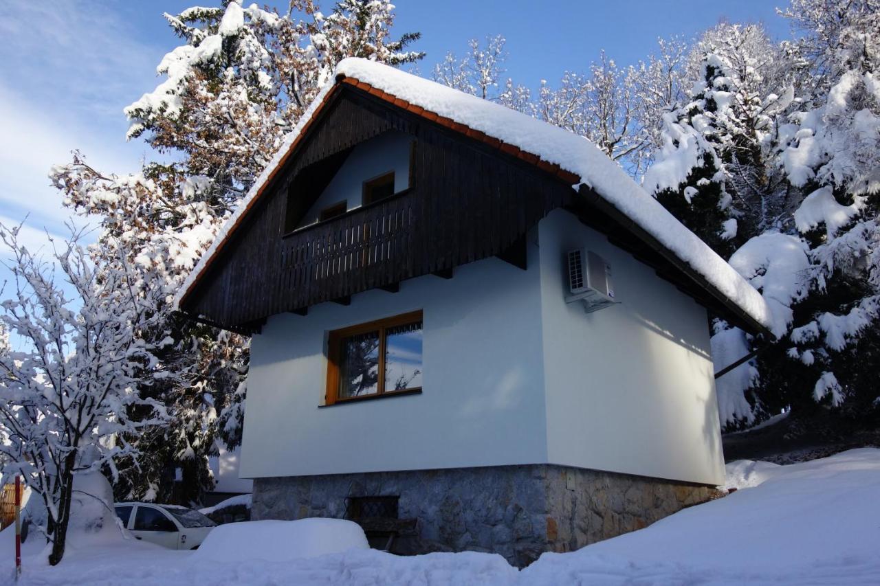 Forest House Villa Vrhnika Bagian luar foto